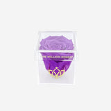 Acrylic Single Box | Bright Purple Rose