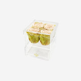 Acrylic 4 Drawer Box | Fawn Bicolor Roses