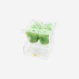 Acrylic 4 Drawer Box | Mint Green Roses