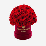 Basic Bordeaux Suede Superdome Box | Red Roses